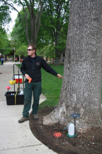 A technician with Limbwalker Tree Services treats an ash tree on campus.