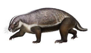 Lifelike illustration of Adalatherium. Image courtesy Denver Museum of Nature & Science/Andrey Atuchin