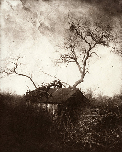 “Reclamation” by Rick Lanning from “Collecting Shadows – Works by The Calotype Society.”