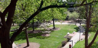 Quad from Library