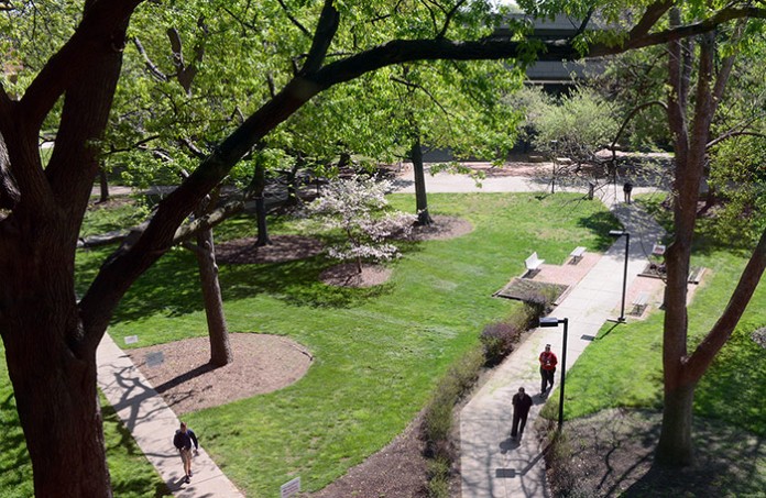 Quad from Library