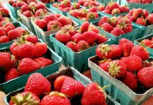 Strawberries at the Gray Street Farmers Market