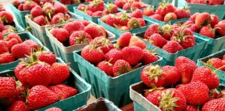 Strawberries at the Gray Street Farmers Market