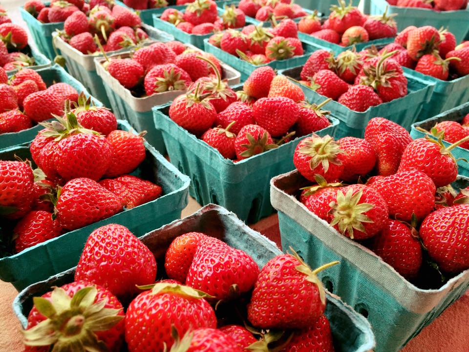 Strawberries at the Gray Street Farmers Market