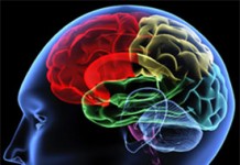 Neurology