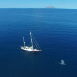 John P Wise Sr., Ph.D., and research team aboard the Research Vessel Martin Sheen in the Sea of Cortez.