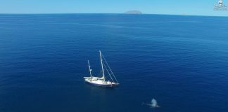 John P Wise Sr., Ph.D., and research team aboard the Research Vessel Martin Sheen in the Sea of Cortez.