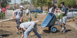 Members of Sigma Pi created a rain garden on campus that they hope to maintain as part of their ACE project.