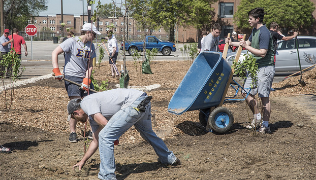 Members of Sigma Pi created a rain garden on campus that they hope to maintain as part of their ACE project.