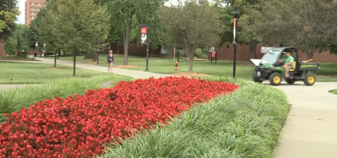 UofL's Ground Crew includes about 12 staff members who work year-round to ensure the entire campus looks good.