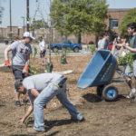 UofL students work on creating a rain garden on campus, one of many initiatives for sustainability.