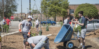 UofL students work on creating a rain garden on campus, one of many initiatives for sustainability.
