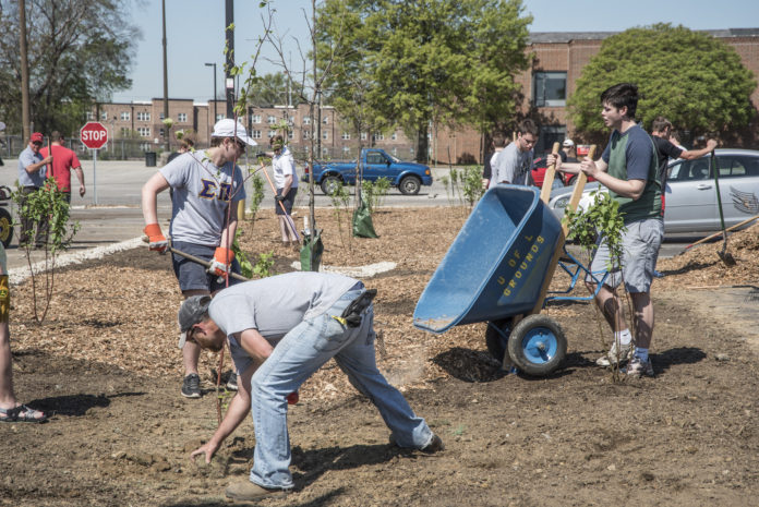 UofL students work on creating a rain garden on campus, one of many initiatives for sustainability.