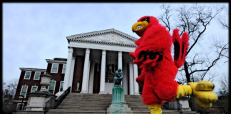 Cardinal Bird in front of Grawemeyer Hall.