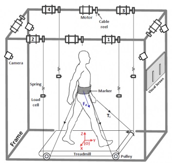 Tethered Pelvic Assist Device (TPAD)