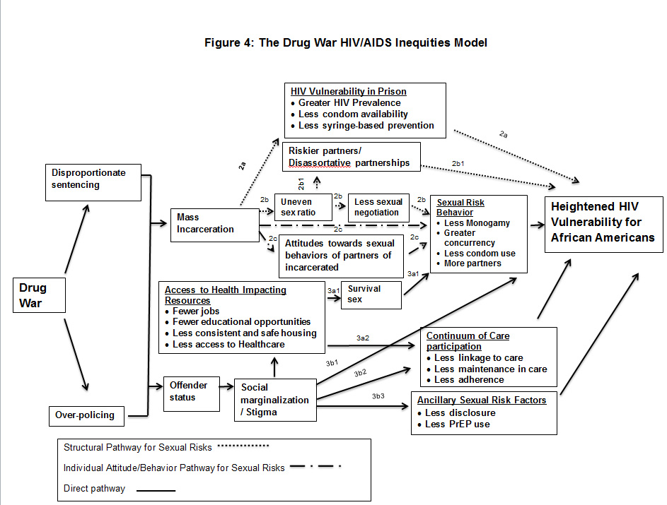 Drug war model