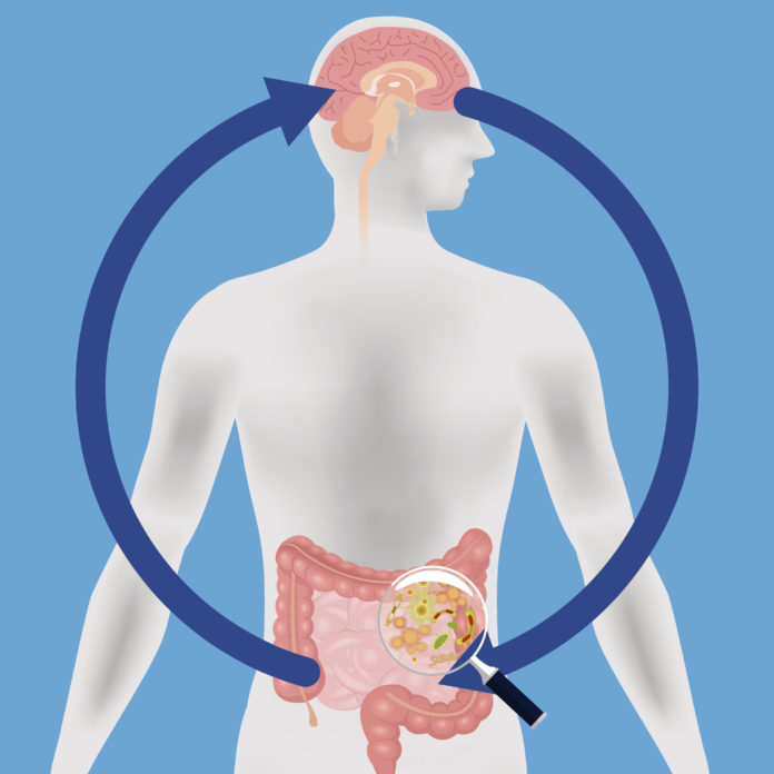 Relation of brain and gut microbiota