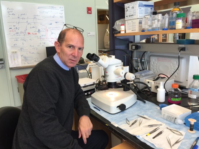 Fishman_Glenn_Leight Lecture 2017 Glenn Fishman, M.D.