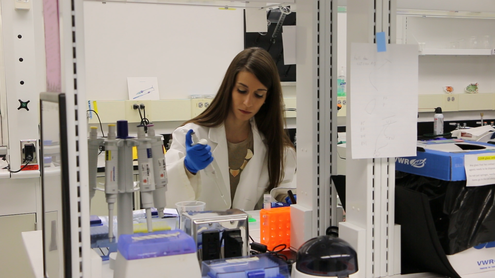 Naomi Charalambakis is conducting research on how the visual system works. She is also the director and co-founder of the Science and Policy Outreach Group, a student organization that works to inform the community about the importance of research.