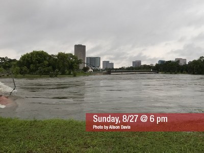 Speed Student Alison Davis shares a photo of her view of the flooding from Hurricane Harvey. Davis is working on a co-op in Houston currently, along with several other Speed students.