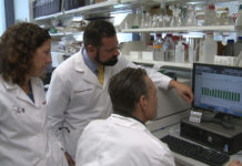 Juliane Beier Arteel, Ph.D., Matt Cave, M.D., and Cameron Falkner, Ph.D.