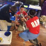 Dr. Nash helps rehydrate a dog that has come into the shelter.