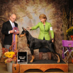 UofL employee Butch Schulman has been training and handling dogs since he was 8 years old.