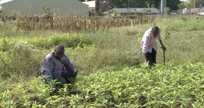 Some of Louisville's newest residents came to the U.S. carrying unimaginable scars from their war-torn countries. UofL's Survivors of Torture Recovery Center is helping them with their emotional needs as well as assimilation to American culture.