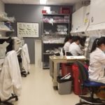 Researchers working in the Wise Laboratory of Environmental and Genetic Toxicology
