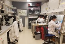 Researchers working in the Wise Laboratory of Environmental and Genetic Toxicology