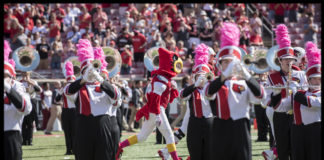 Louie makes his way through the marching band during a 2017 football game.