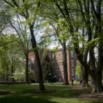 Trees on Belknap campus represent more than 130 species, including many native to the region.