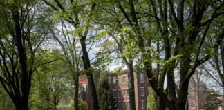 Trees on Belknap campus represent more than 130 species, including many native to the region.