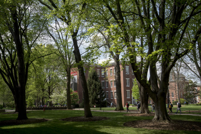 Trees on Belknap campus represent more than 130 species, including many native to the region.