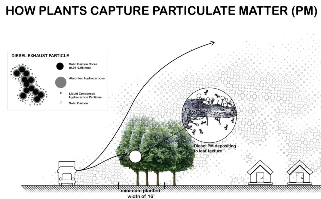 How plants capture particulate matter