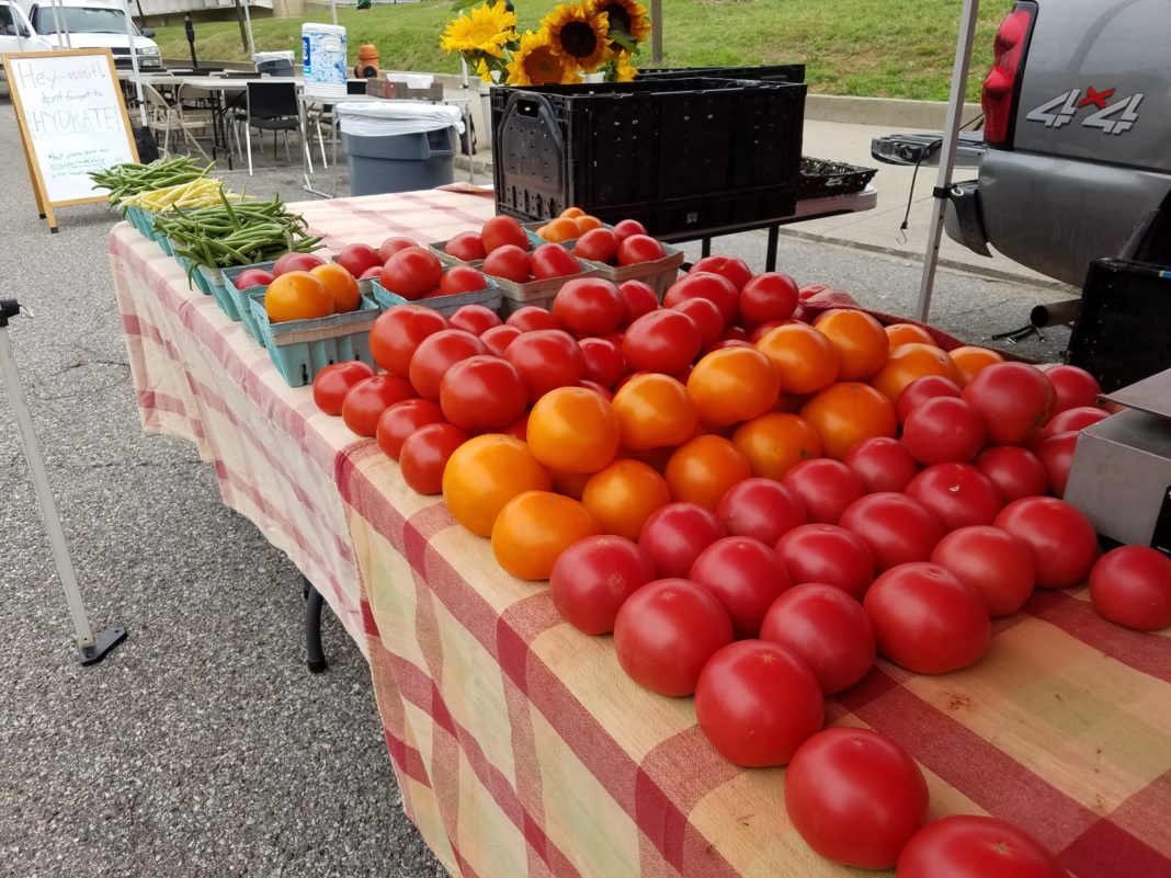GSFM - tomato Gray Street Farmers Market