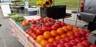 Gray Street Farmers Market