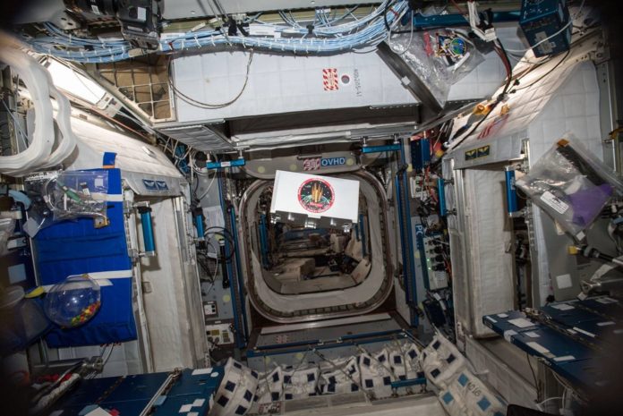 An Anheuser-Busch CubeLab floating inside of the International Space Station after project completion.