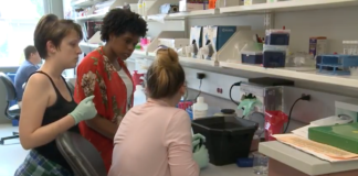 Cancer Education Program participants Delana Gilkey and Paige Mitchell work with a research mentor to study cancer.