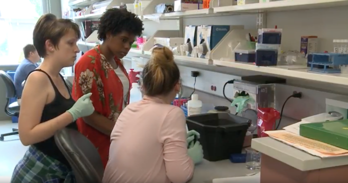 Cancer Education Program participants Delana Gilkey and Paige Mitchell work with a research mentor to study cancer.