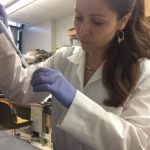 University of Louisville doctoral candidate Jamie Young works in her lab.
