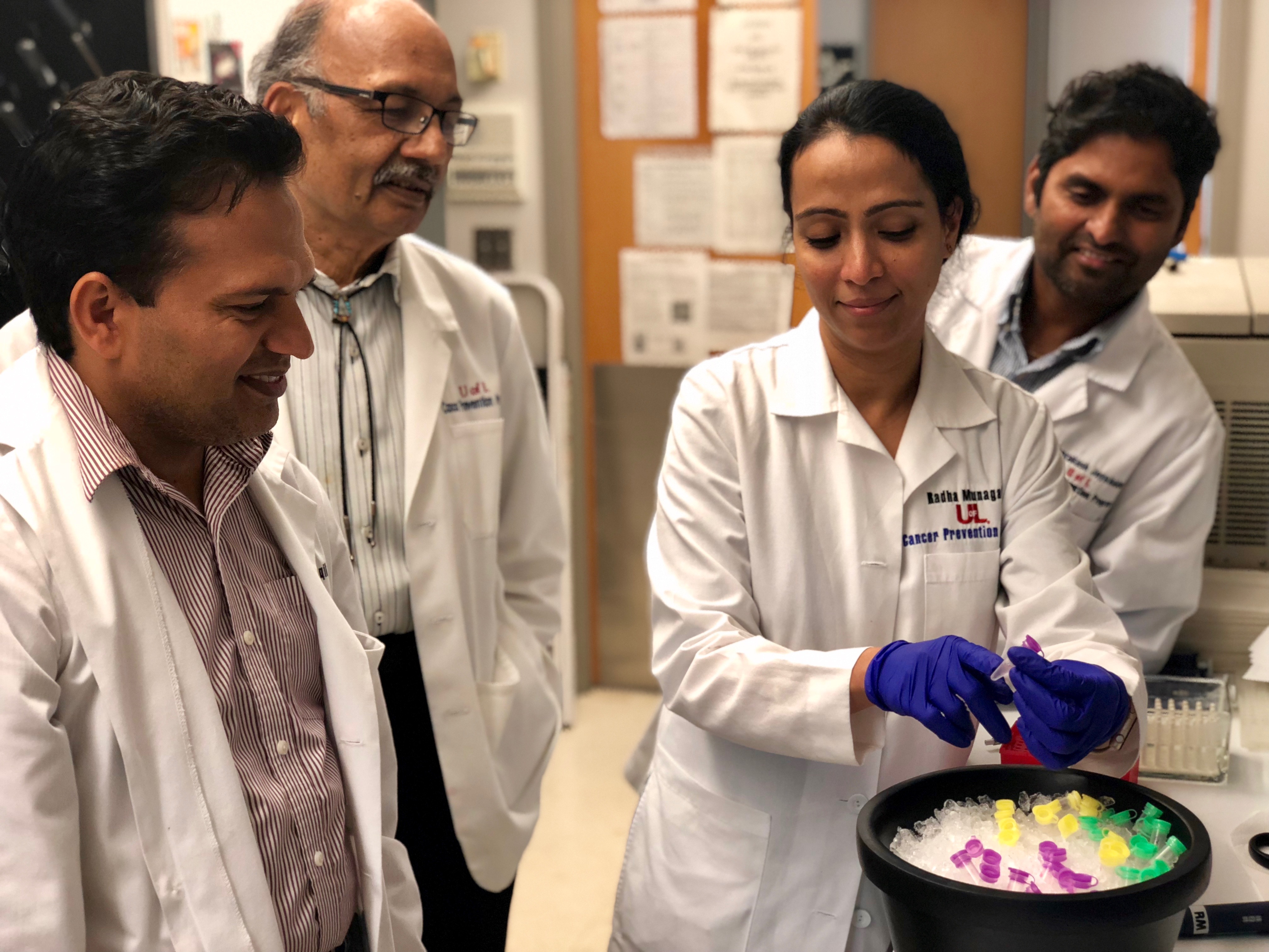 A milk exosome-drug delivery tool, invented by UofL’s Dr. Ramesh Gupta and his team members, Drs. Radha Munagala, Dr. Farrukh Aqil and Jeyaprakash Jeyabalan, could improve how humans absorb drugs meant to treat disease and relive pain.