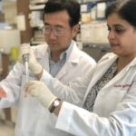 Drs. Chi Li (left) and Kavitha Yaddanapudi (right), both researchers at the University of Louisville, are working to develop a vaccine against cancer.