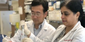 Drs. Chi Li (left) and Kavitha Yaddanapudi (right), both researchers at the University of Louisville, are working to develop a vaccine against cancer.