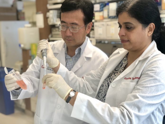 Drs. Chi Li (left) and Kavitha Yaddanapudi (right), both researchers at the University of Louisville, are working to develop a vaccine against cancer.