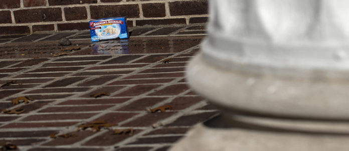 Law students leave coins, stones and animal crackers on the grave of Louis D. Brandeis in the hopes that doing so will bring them luck on their exams.