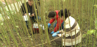 Biology professor Paul Himes is leading this research study in hopes of renewing damaged soil in polluted areas.