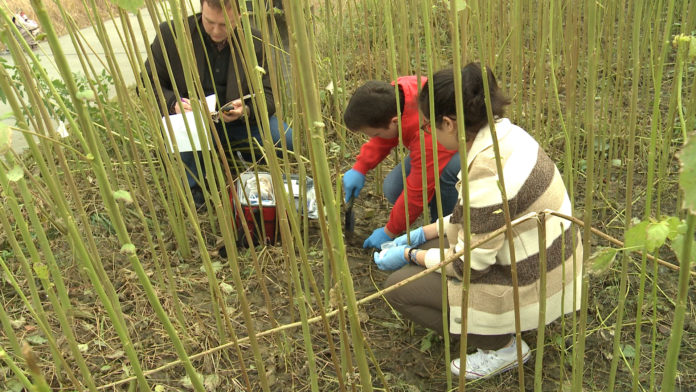 Bacteria Research GDL.00_00_11_06.Still002 Biology professor Paul Himes is leading this research study in hopes of renewing damaged soil in polluted areas.