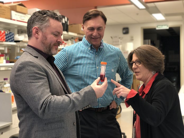 From left: UofL's Dr. Marty O'Toole, Qualigen CEO Michael Poirier, and UofL's Dr. Paula Bates.