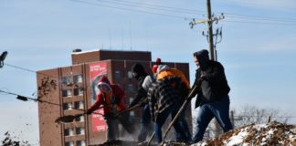 About 300 students volunteered for this year's MLK Day of Service.